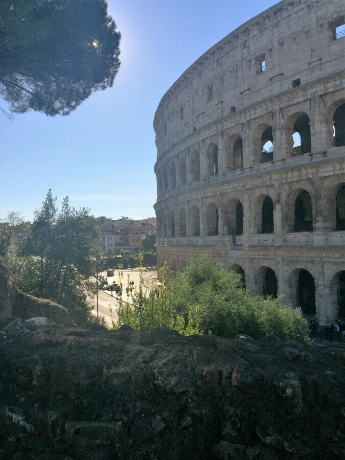 Rome city and guided tour of the coliseum-9